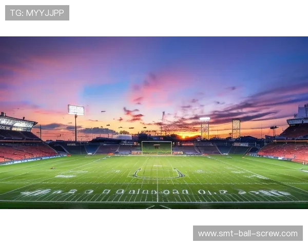 光彩夺目的足球明星们：他们的魅力与球场风采并存